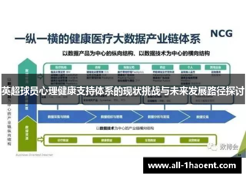 英超球员心理健康支持体系的现状挑战与未来发展路径探讨