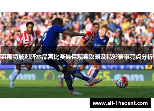 莱斯特城对阵水晶宫比赛最佳观看攻略及精彩赛事亮点分析